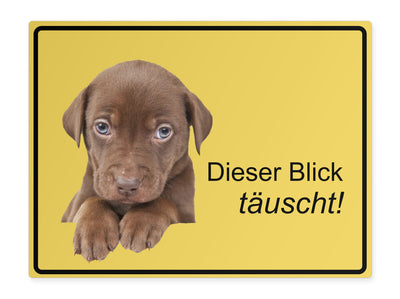 tierschild-quer-dieser-blick-taeuscht