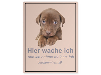 tierschild-hoch-hier-wache-ich-und-ich-nehme-meinen-job-verdammt-ernst