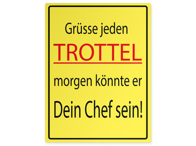 funschild-hoch-trottel